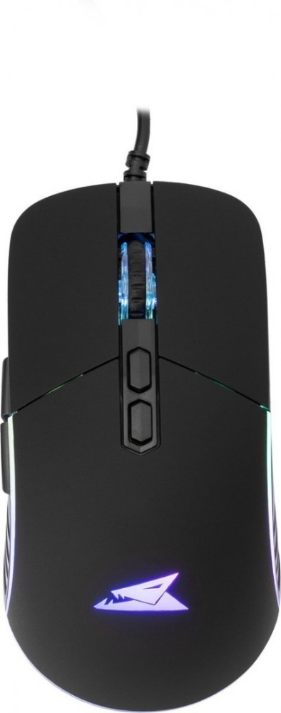 Nautilus